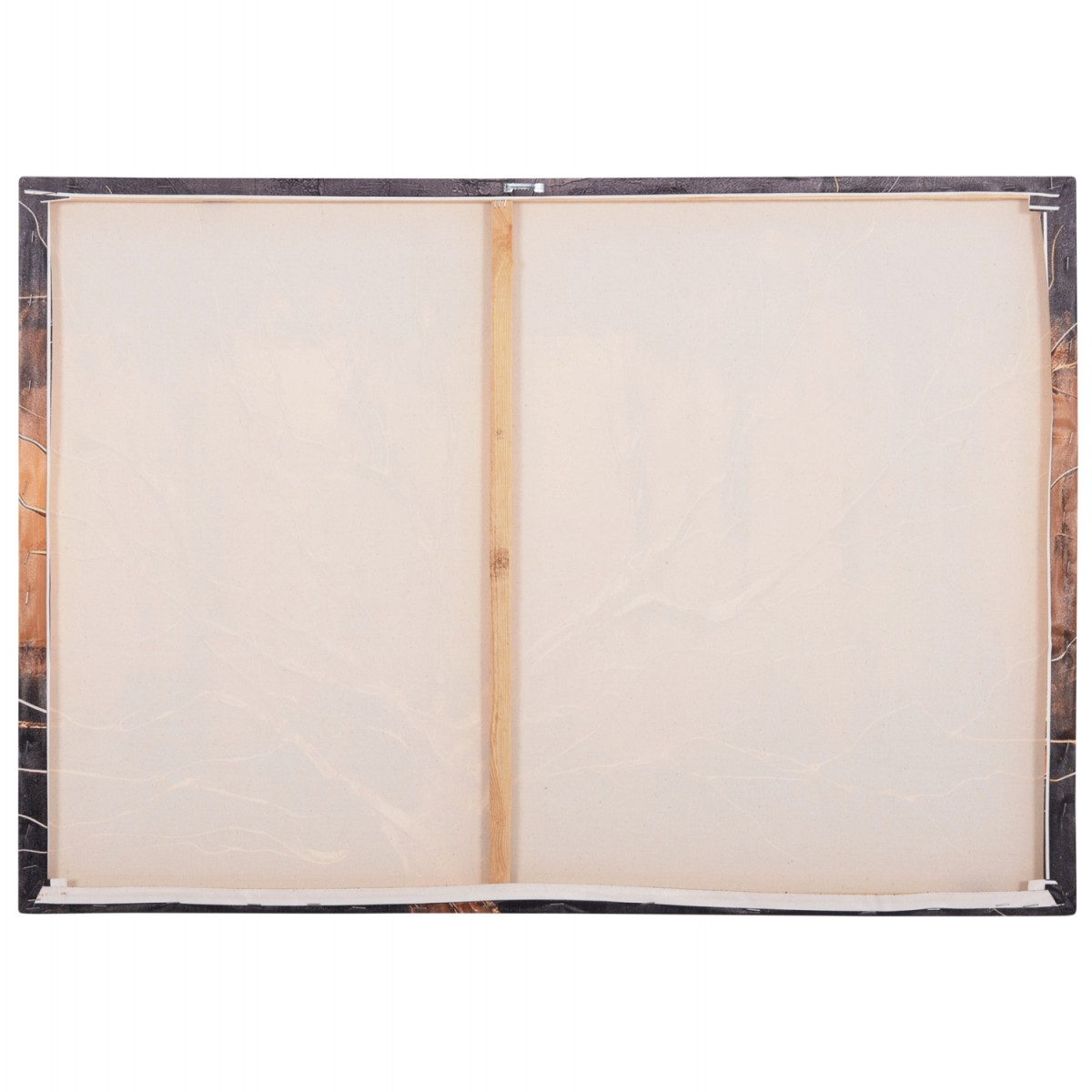 ΠΙΝΑΚΑΣ TOIXOY ΣΕΙΡΑ GOBI HM4861 ΕΚΤΥΠΩΜΕΝΟΣ ΚΑΜΒΑΣ 98x2,5(πάχος)x68Υεκ.