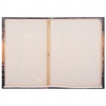 ΠΙΝΑΚΑΣ TOIXOY ΣΕΙΡΑ GOBI HM4861 ΕΚΤΥΠΩΜΕΝΟΣ ΚΑΜΒΑΣ 98x2,5(πάχος)x68Υεκ.