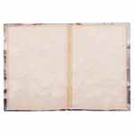 ΠΙΝΑΚΑΣ TOIXOY ΣΕΙΡΑ GOBI HM4862 ΕΚΤΥΠΩΜΕΝΟΣ ΚΑΜΒΑΣ 98x2,5(πάχος)x68Υεκ.