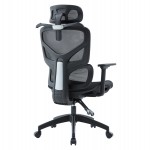 ΚΑΡΕΚΛΑ ΓΡΑΦΕΙΟΥ APEX HM1227.01 ΜΑΥΡO MESH & PP 70x66x113-130Υεκ