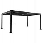 ΒΙΟΚΛΙΜΑΤΙΚΗ ΠΕΡΓΚΟΛΑ ΑΛΟΥΜΙΝΙΟΥ PREMIUM FRANIO HM6610.01 ΜΑΥΡΟ 300x400x240Υ