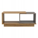 ΤΡΑΠΕΖΙ ΣΑΛΟΝΙΟΥ TELES HM18181.06 ΜΕΛΑΜΙΝΗ ΣΕ ΦΥΣΙΚΟ & ΓΚΡΙ ΜΑΡΜΑΡΟ 100x45x42Υεκ.