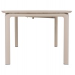 ΤΡΑΠΕΖΙ ΕΠΕΚΤΕΙΝΟΜΕΝΟ SYMPO HM6415.05 ΜΠΕΖ ΑΛΟΥΜΙΝΙΟ 220-300x100x75Υεκ