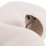 ΕΠΙΤΡΑΠΕΖΙΟ ΦΩΤΙΣΤΙΚΟ ELBAR HM4698.02 FIBER CEMENT ΣΕ ΛΕΥΚΟ--[Ε14]--44x12x50Υεκ