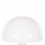 ΦΩΤΙΣΤΙΚΟ ΔΑΠΕΔΟΥ SMUSH HM4256.03 ΜΕΤΑΛΛΟ ΛΕΥΚΟ-ΡΥΘΜΙΖΟΜΕΝΟ ΚΑΠΕΛΟ Φ50x100Υ