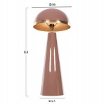 ΦΩΤΙΣΤΙΚΟ ΔΑΠΕΔΟΥ SMUSH HM4257.06 ΜΕΤΑΛΛΟ ΣΟΜΟΝ & ΧΡΥΣΟ-ΡΥΘΜΙΖΟΜΕΝΟ ΚΑΠΕΛΟ Φ36,5x84Υ