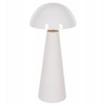 ΕΠΙΤΡΑΠΕΖΙΟ ΦΩΤΙΣΤΙΚΟ SMUSH HM4258.03 ΜΕΤΑΛΛΟ ΣΕ ΛΕΥΚΟ-ΡΥΘΜΙΖΟΜΕΝΟ ΚΑΠΕΛΟ Φ32,5x69Υεκ.